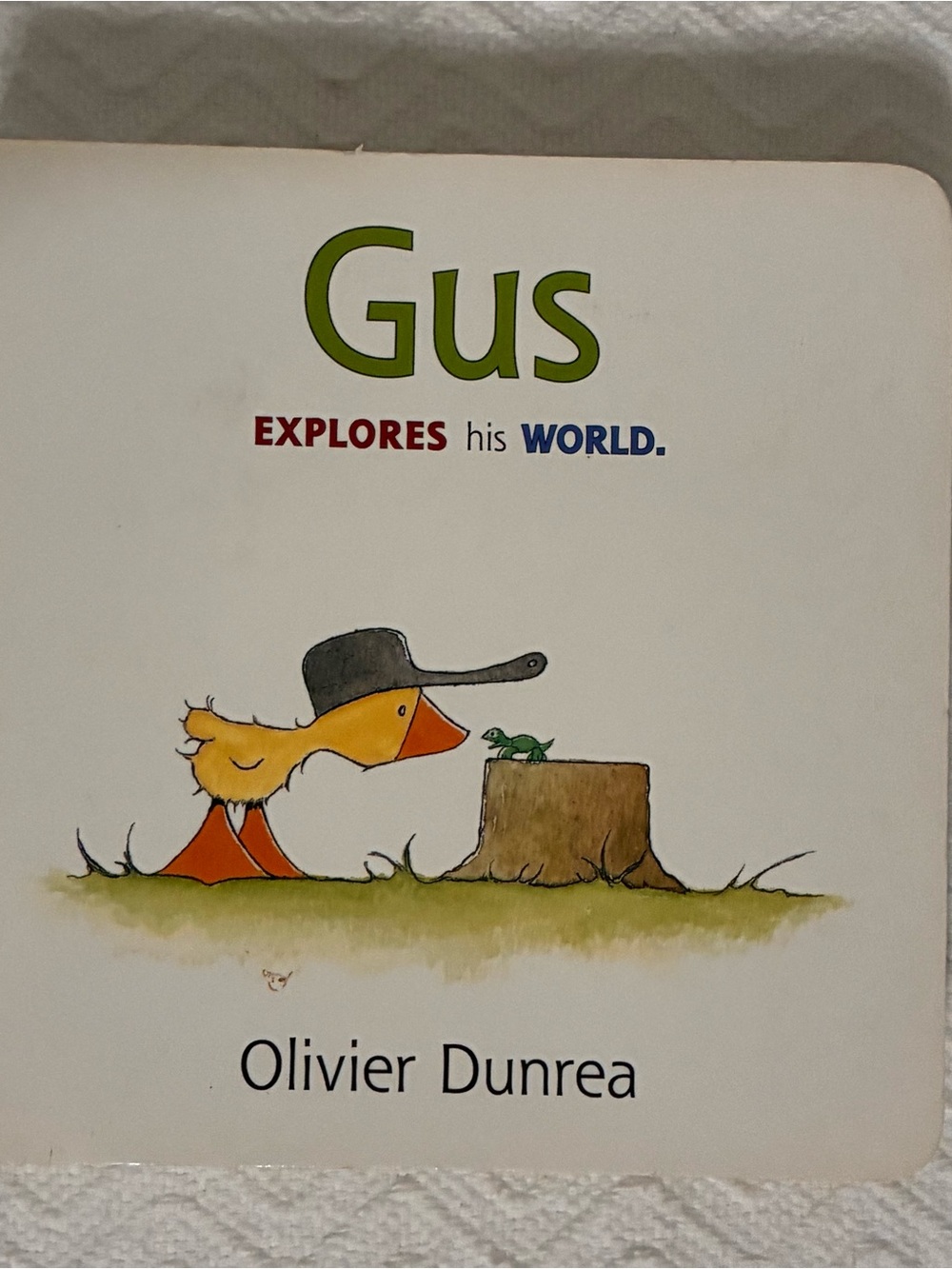 Gus Explores His World Board Book